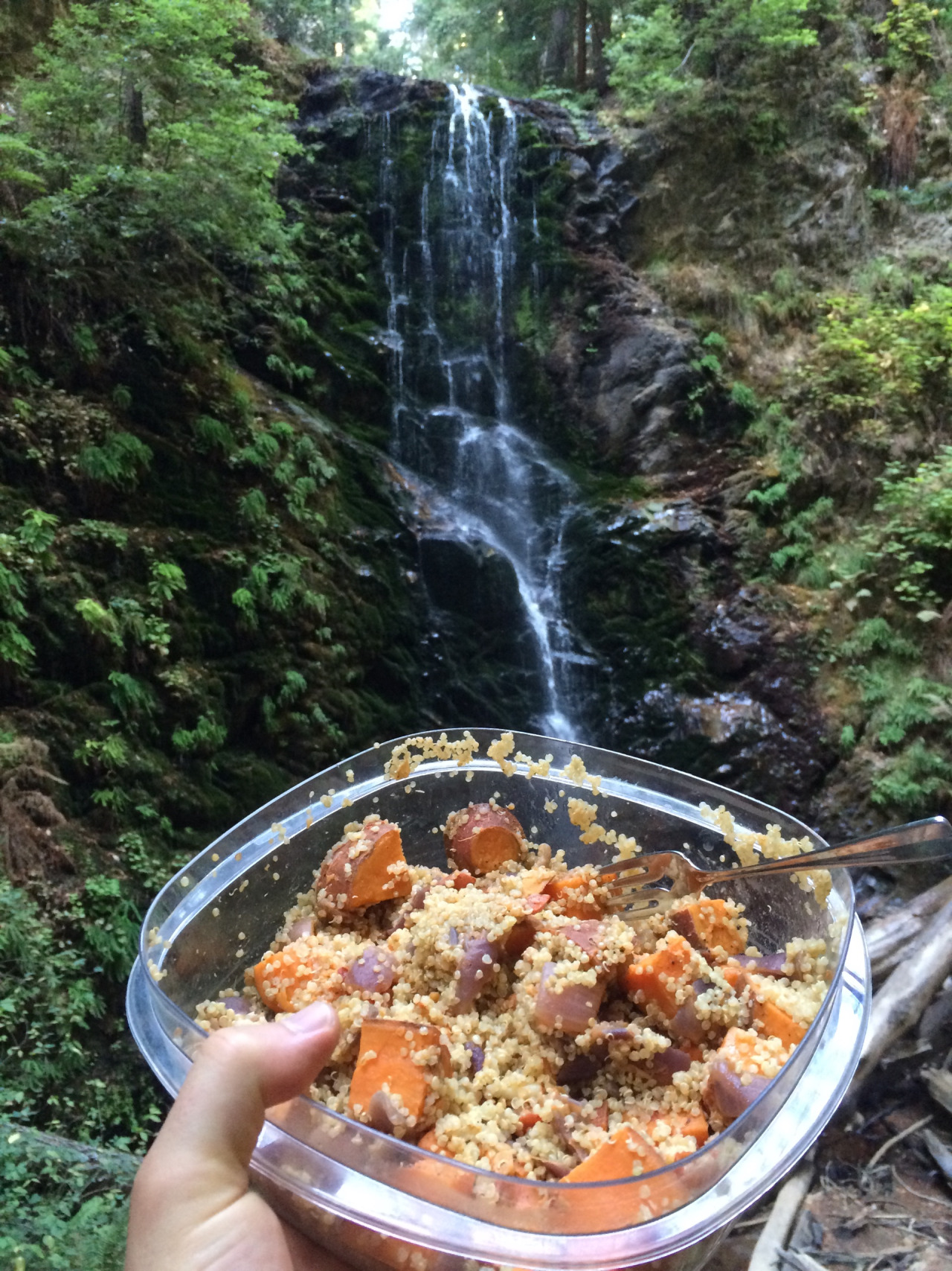 San Franscisco Hike.jpg