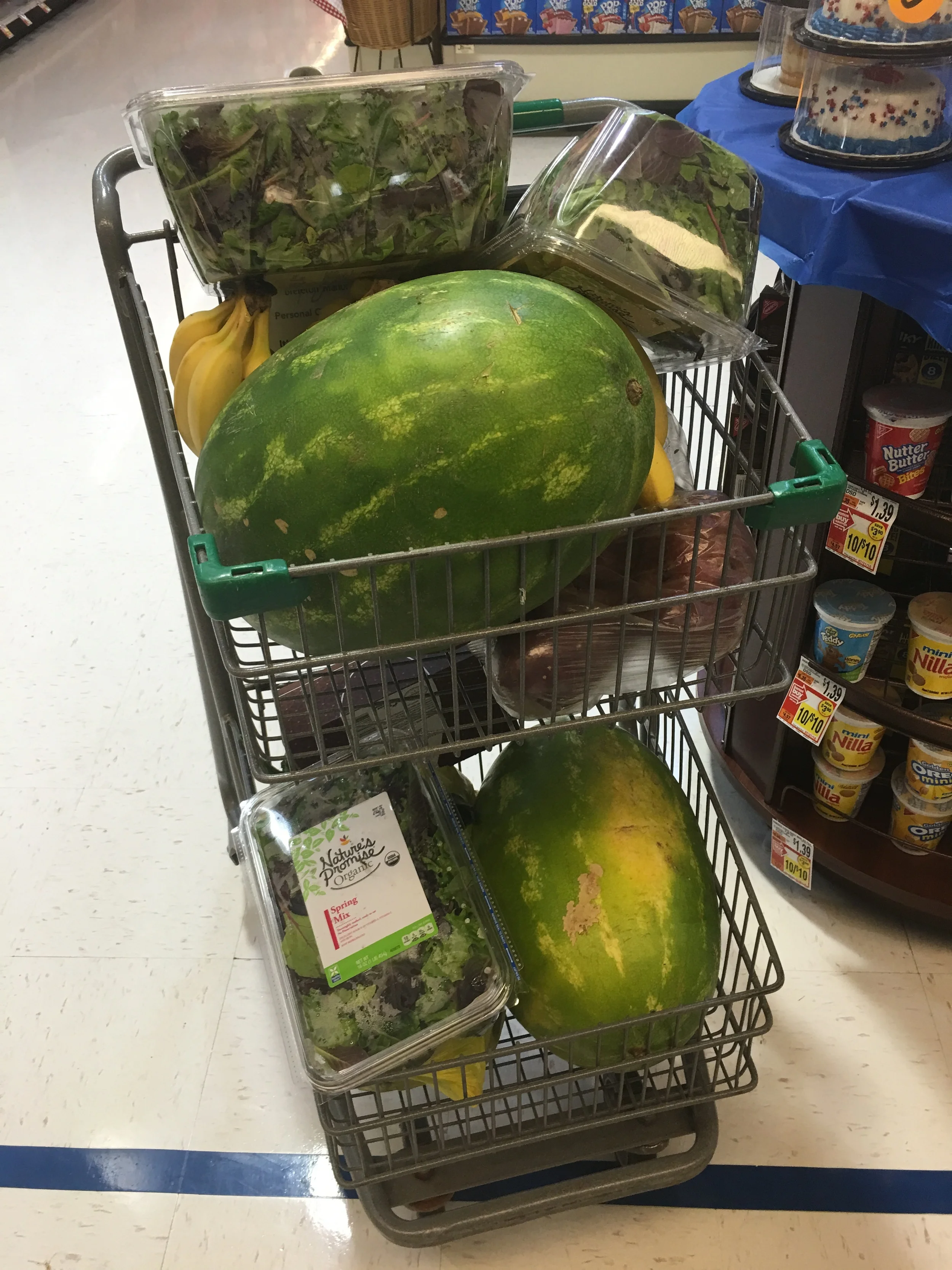 Vegan Picnic Grocery Shopping.JPG