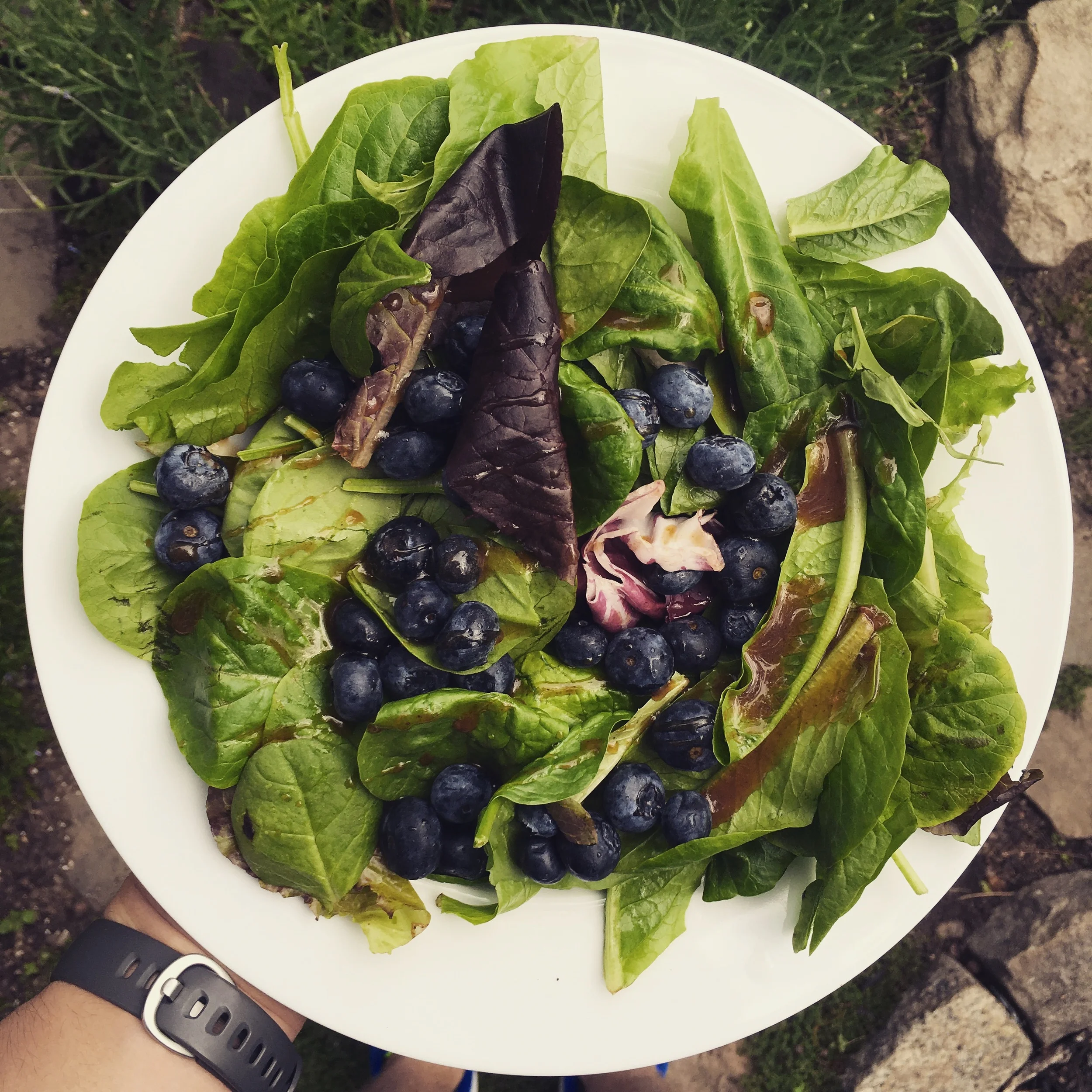 Blueberry Balsamic Salad.JPG