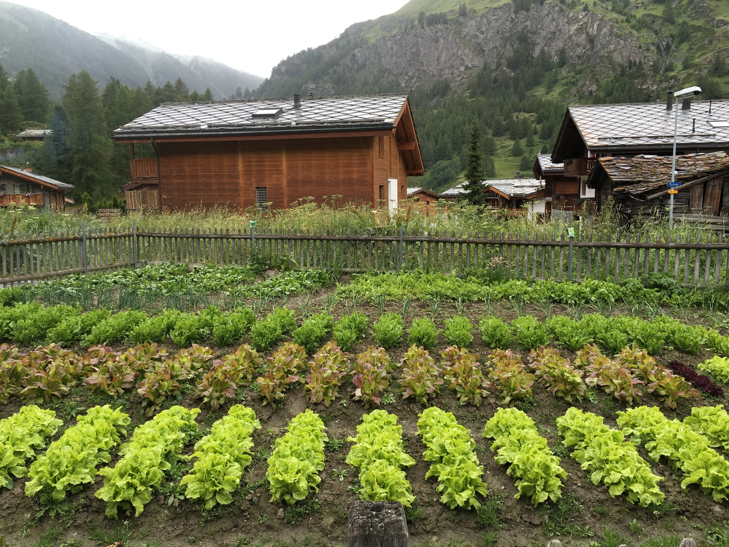 Zermatt Farm.JPG