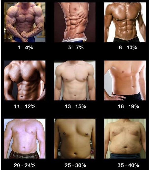 Male body fat percentages.png