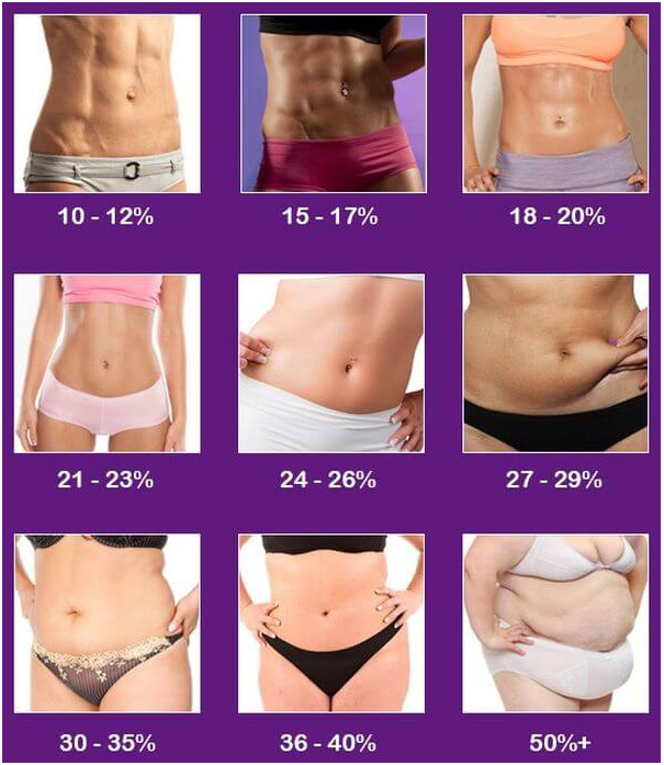 Female body fat percentages.png