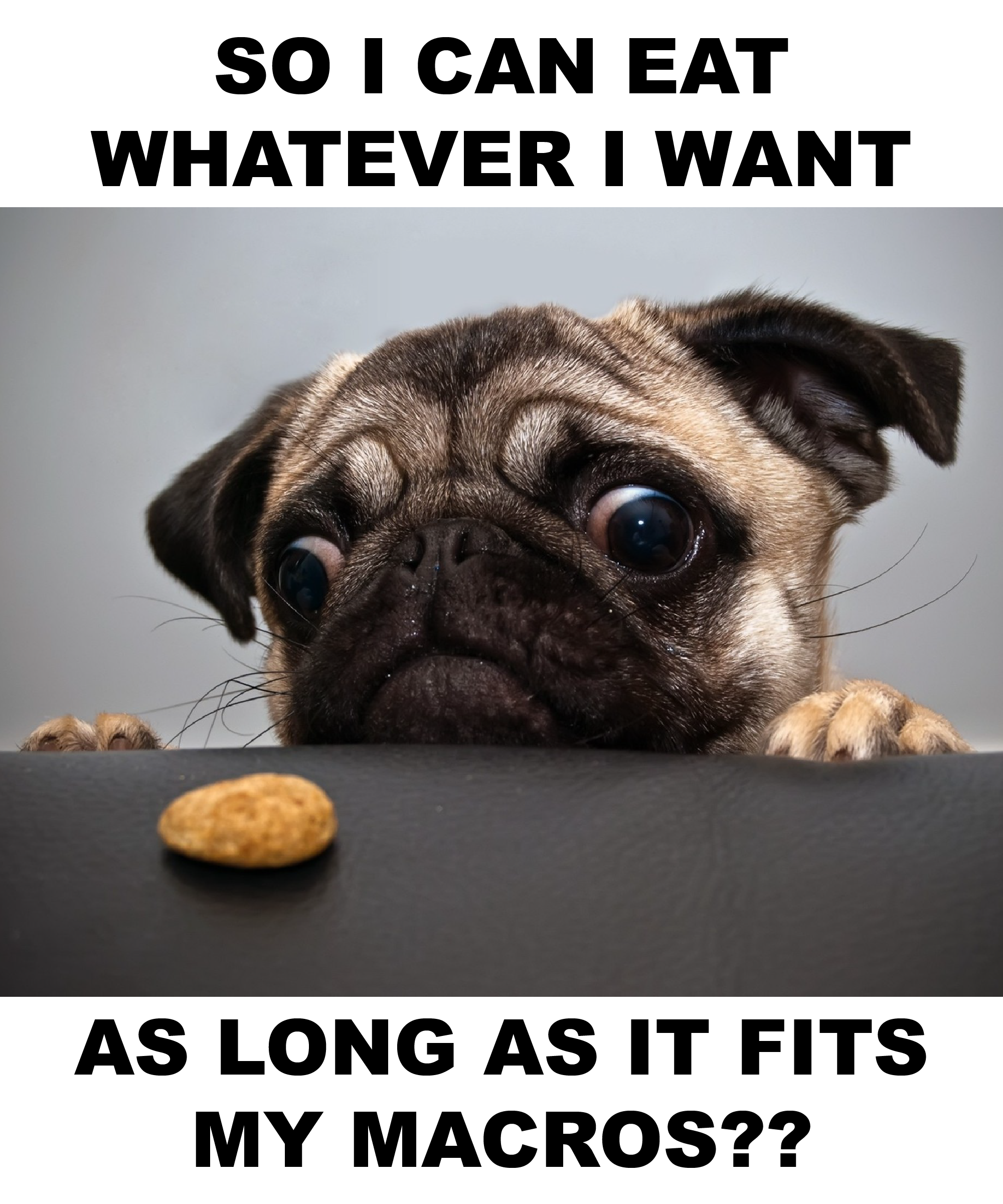 VEGAN IIFYM MEME