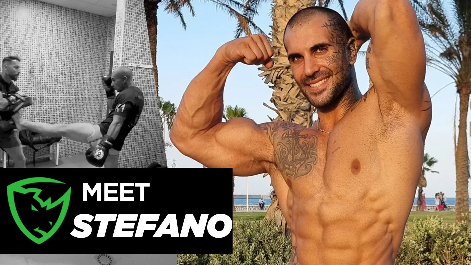 stefano-Template-1.jpg