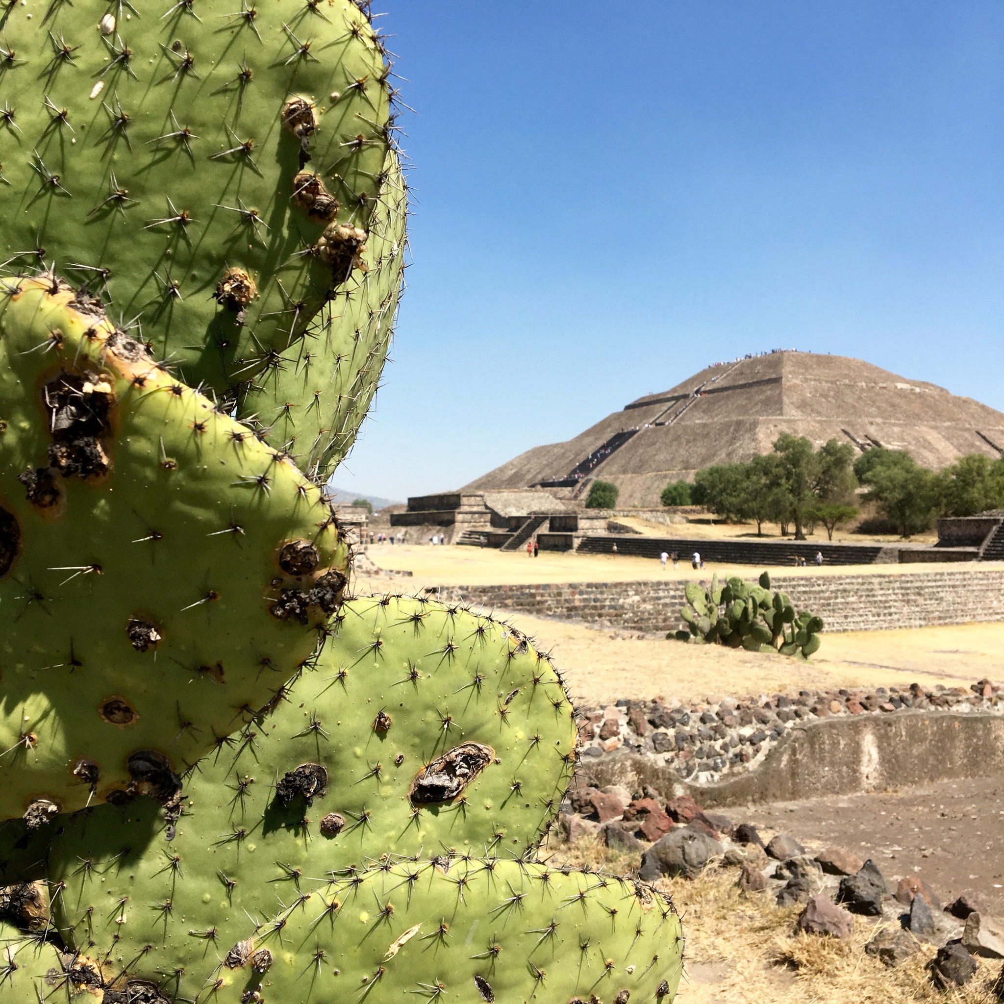 Minutes before climbing this badboy in Teotihuacán. 