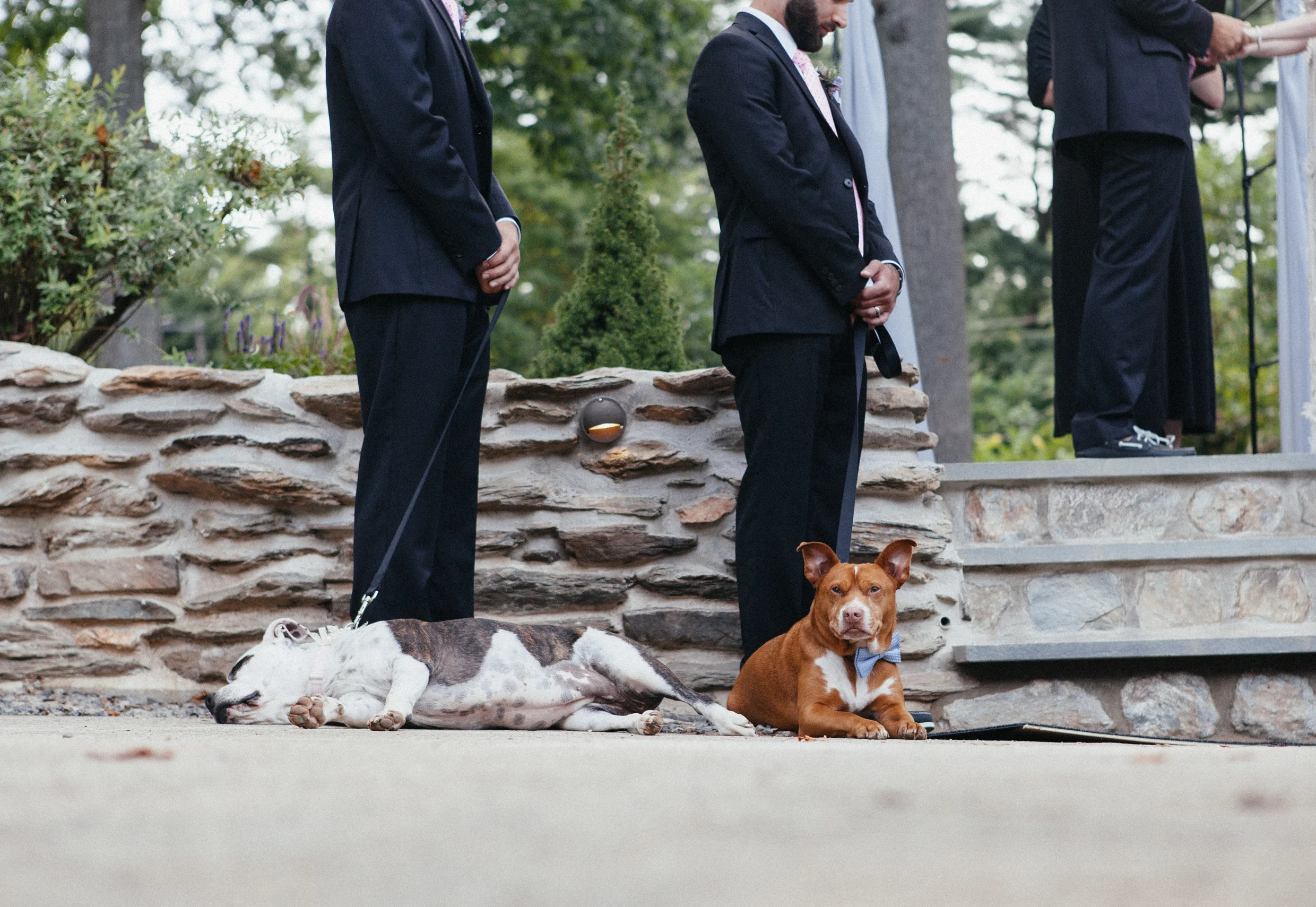 Megan+Tom_-217.jpg