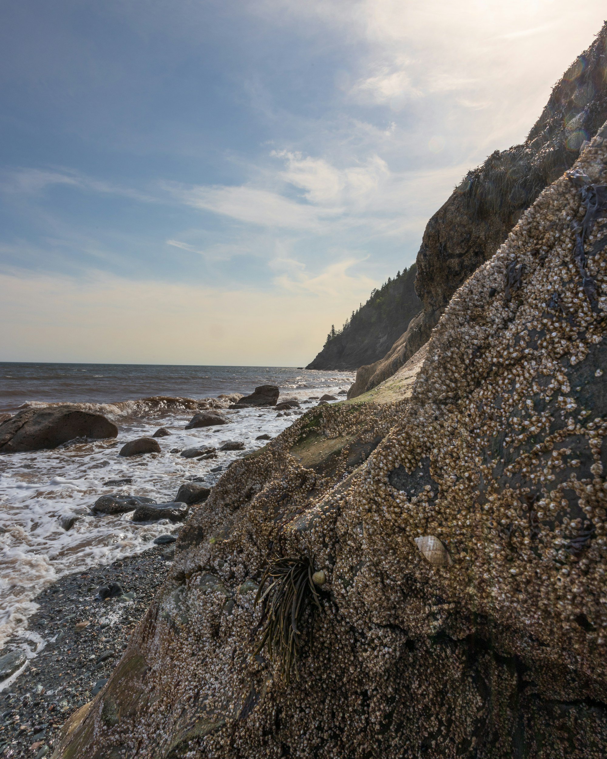 The Echo of Fundy Bay