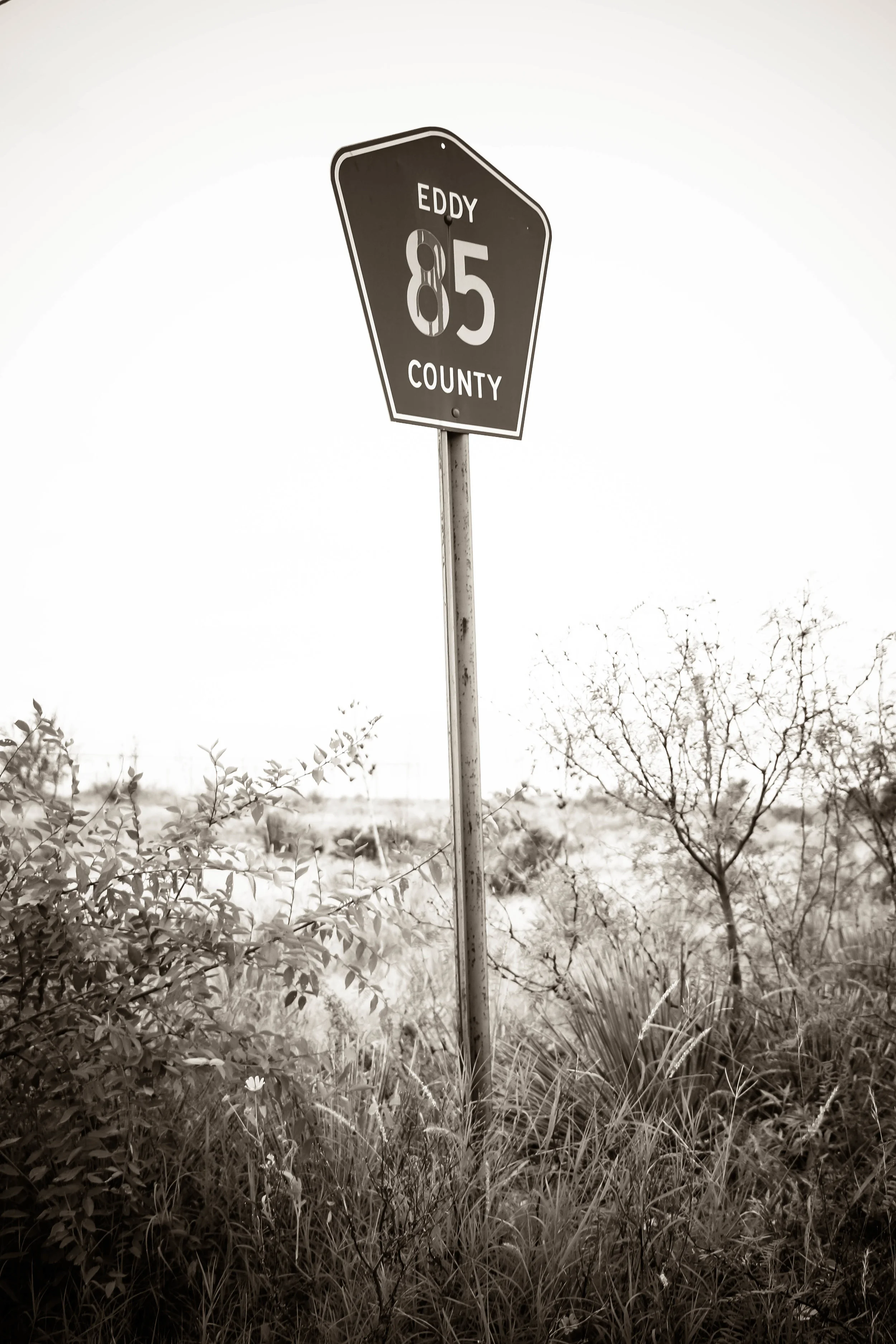Artesia-108.jpg