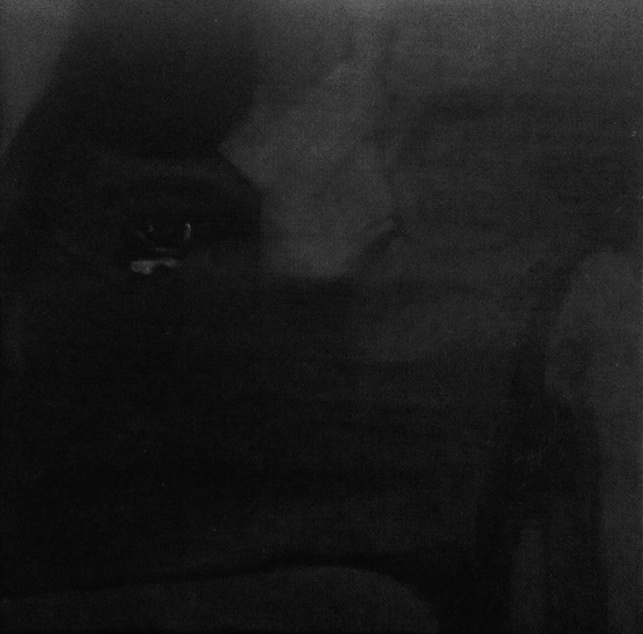 View - oil on canvas, 2016 - 20x20cm 