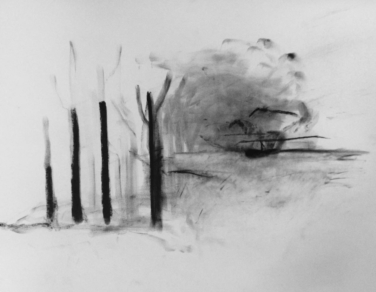 Each day is a falling tree - charcoal on paper, 2016 - 50x85cm