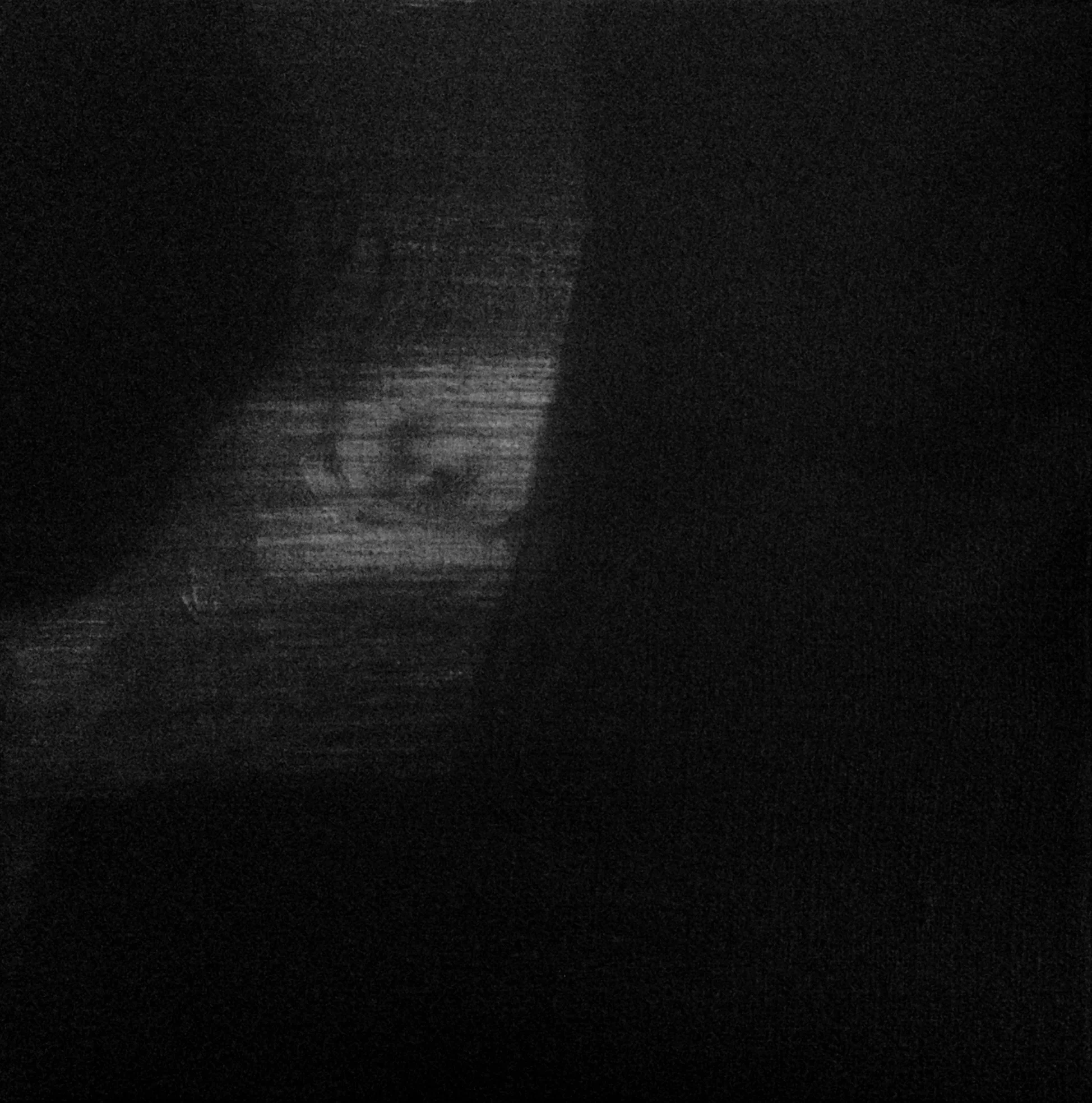 Feed - oil on canvas, 2016 - 20x20cm 