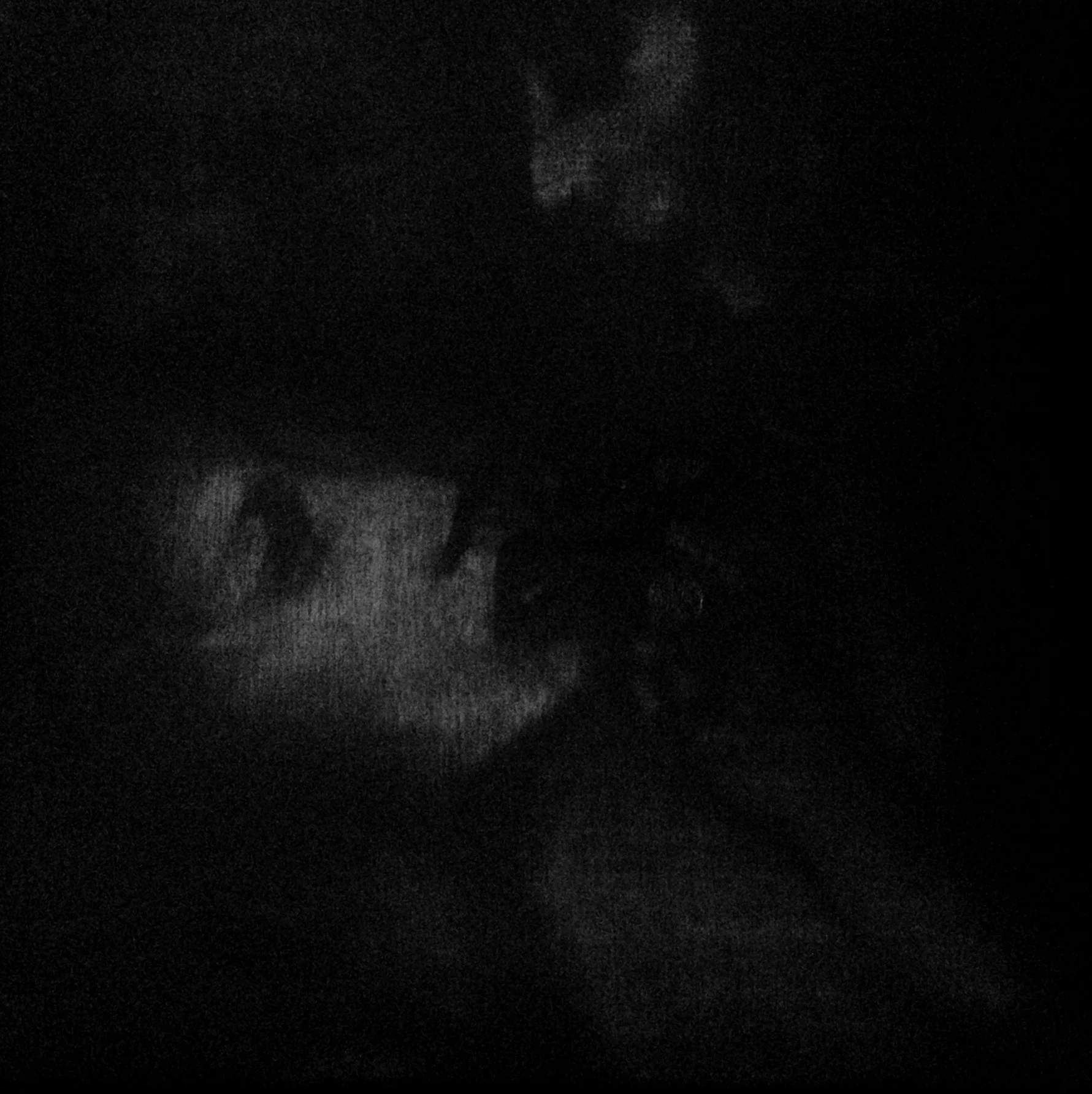 Care - oil on canvas, 2016 - 20x20cm 