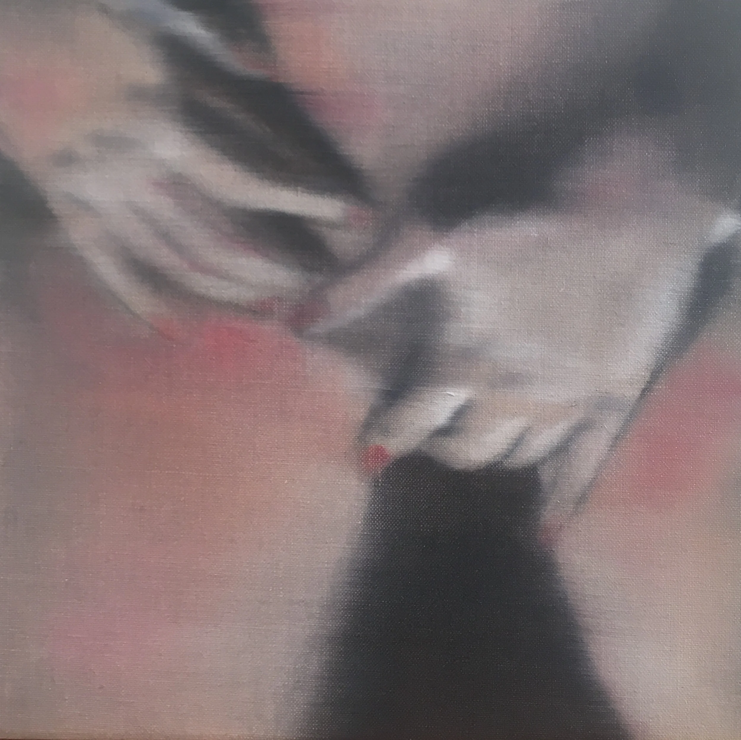 Blur - oil on cardboard, 2018 - 30x30cm