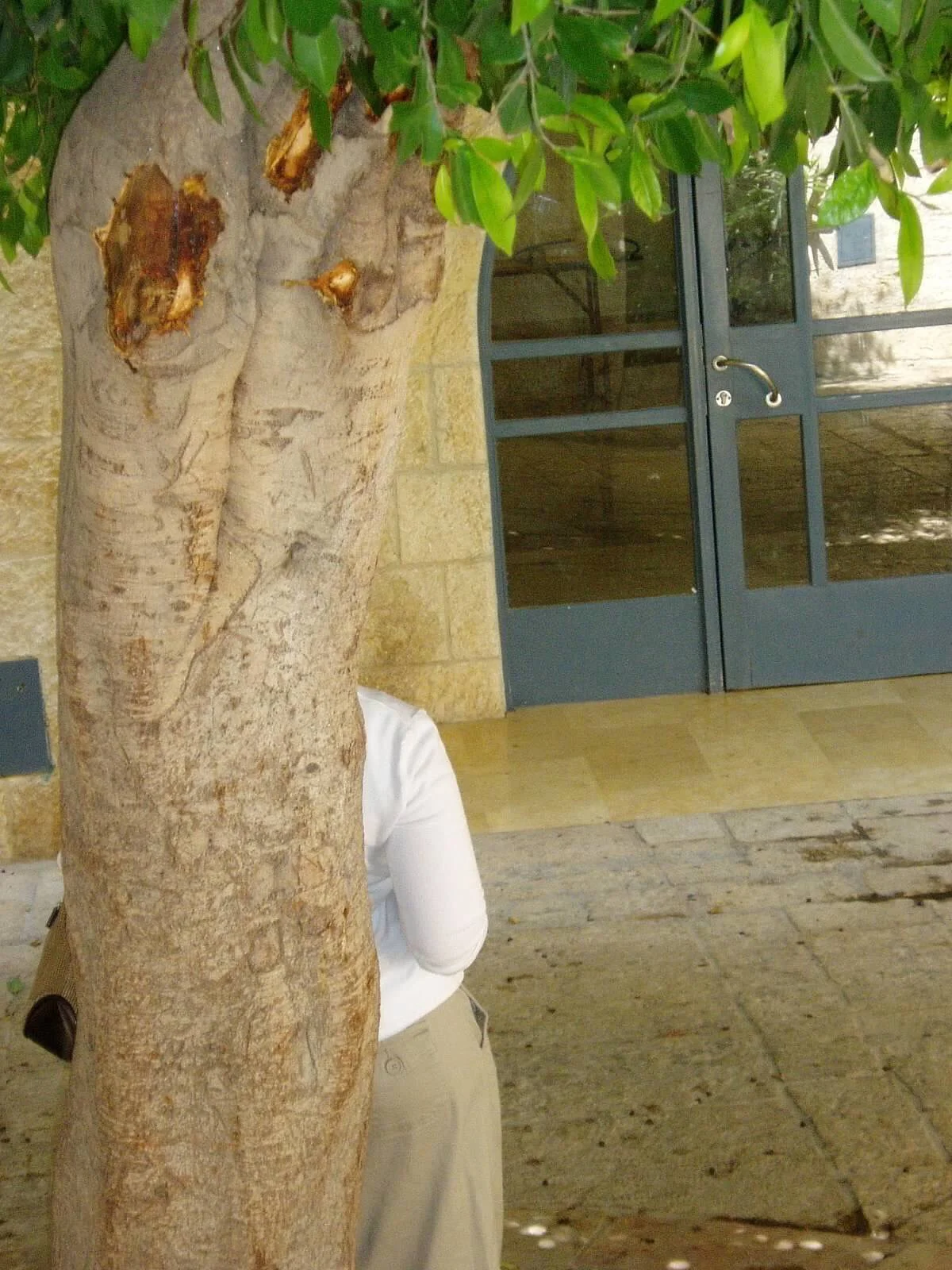 Simcha even wanted to tell stories with his shots... Ilana, stand behind that tree... He gave good direction .