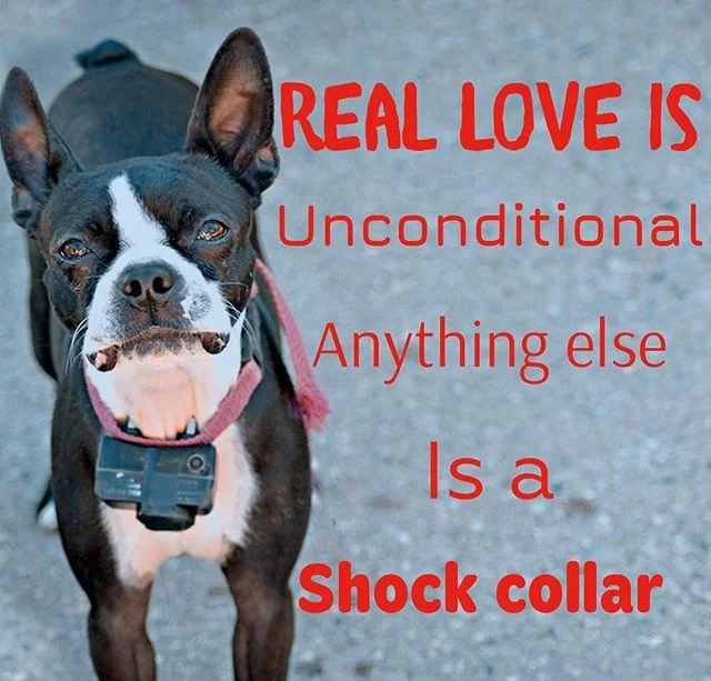 Love isn&rsquo;t always sunshine and roses.
Just saying it&rsquo;s - no matter what. 
Word.
#unconditionallove #lovenottraining #nomatterwhat
