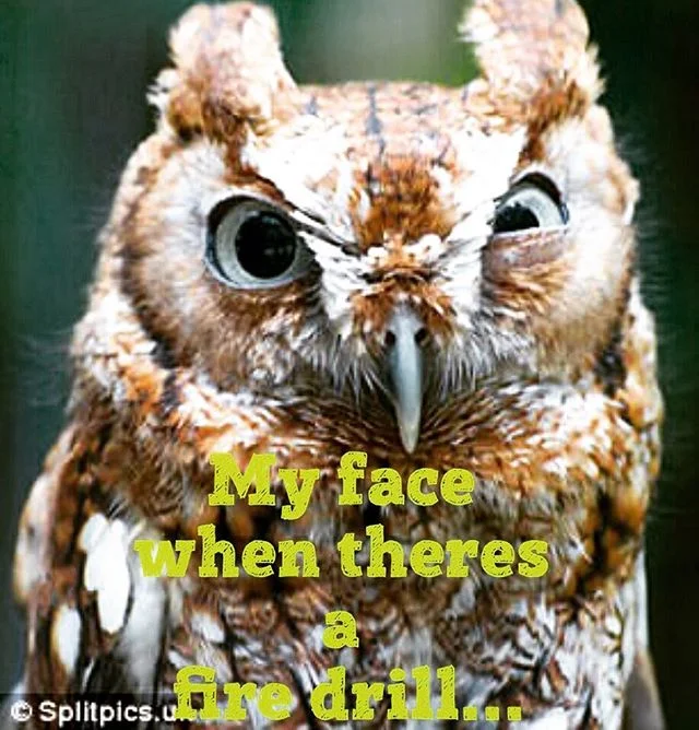 Pretty accurate #teachersofinstagram #teacher #teacherlife #teachersbelike #teachersfollowteachers #teachers