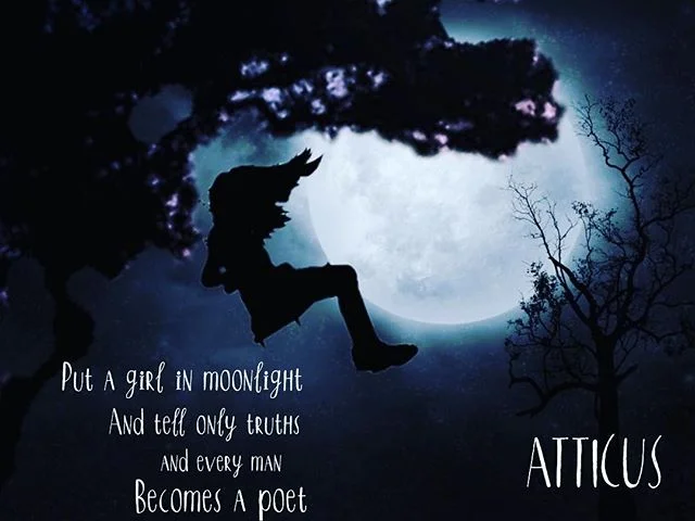 Playing with @pixomatic_app with the beautiful words of @atticuspoetry - the words are sublime. My pixo is a work in progress ;) #atticuspoetry #ilanameanstree