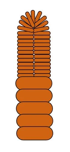 step 12 - Turn the stem over a small round object to create a loop. Wrap the bottom of the loop 5 times with a piece of the 18 gauge wire.