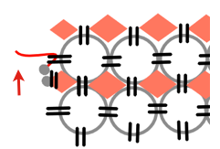 step 8 - At the end of the row, add two 5mm rings followed by two silver beads. Pass through the next two 5mm rings. Trim the thread leaving a 6” tail.