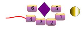 step 3 - Pull the thread to create a Side Set. A set is made up of 2 seed beads (# 5 & 6) flanking a bicone bead. The Side Set creates the spiral effect of the bracelet.