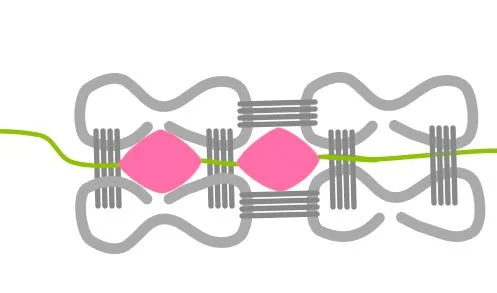 step 6 - Continue adding crystals and wrapping the thread around the next link.