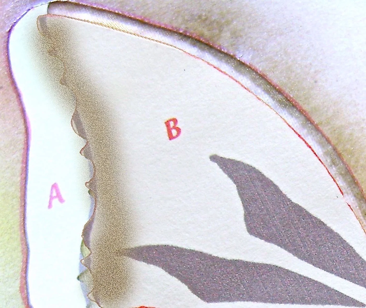step 9 - When dry, you will create a Bronze outline at the top and bottom of the wings by positioning the “B” section about a quarter of an inch away from the stencil. Spray the space with the Bronze Have More Fun paint. Repeat at the wing bottoms.