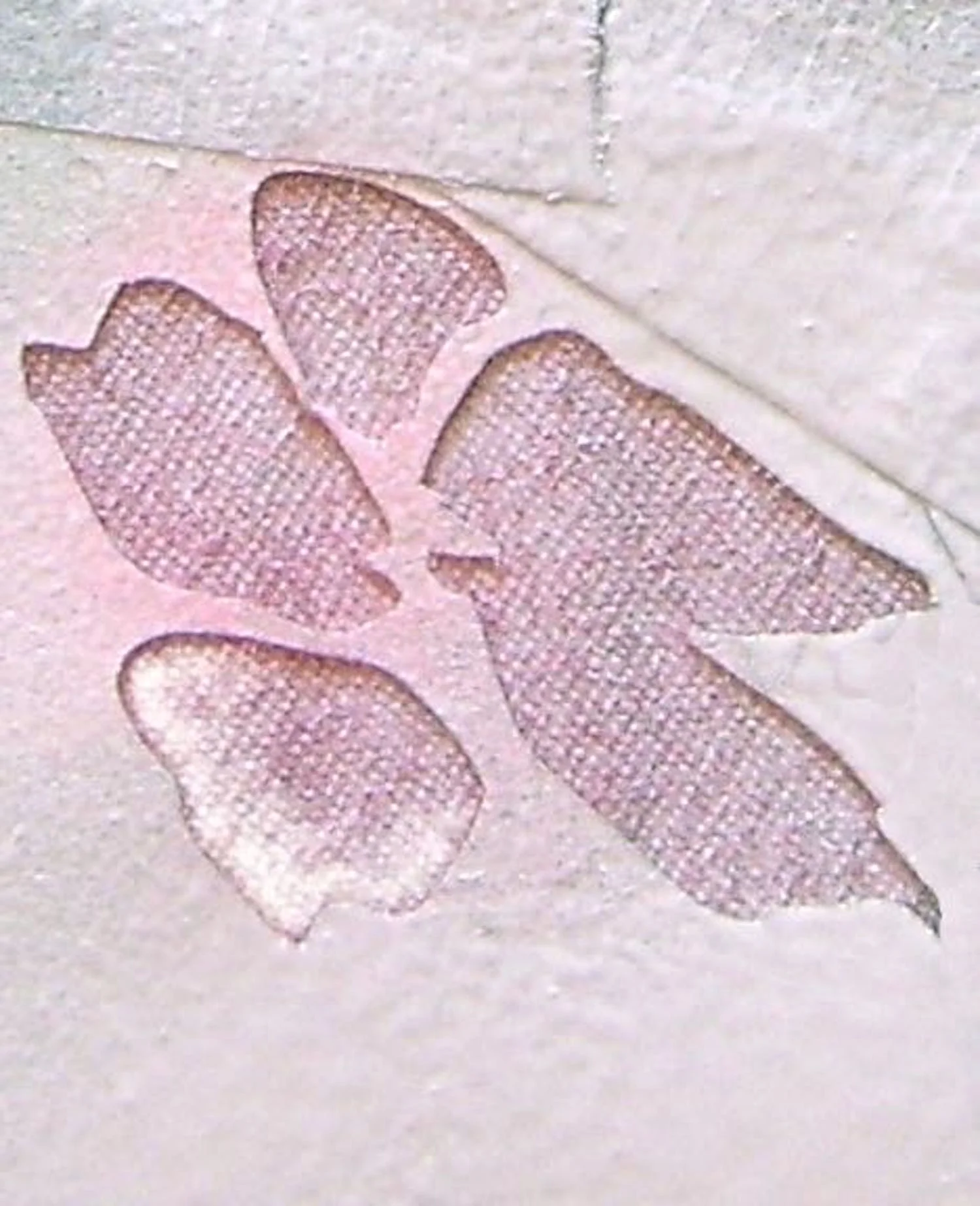 step 6 - Cover everything but the flower petals. Spray only the outer edges of each petal once or twice to create a contrast from the interior petal. Let dry. 