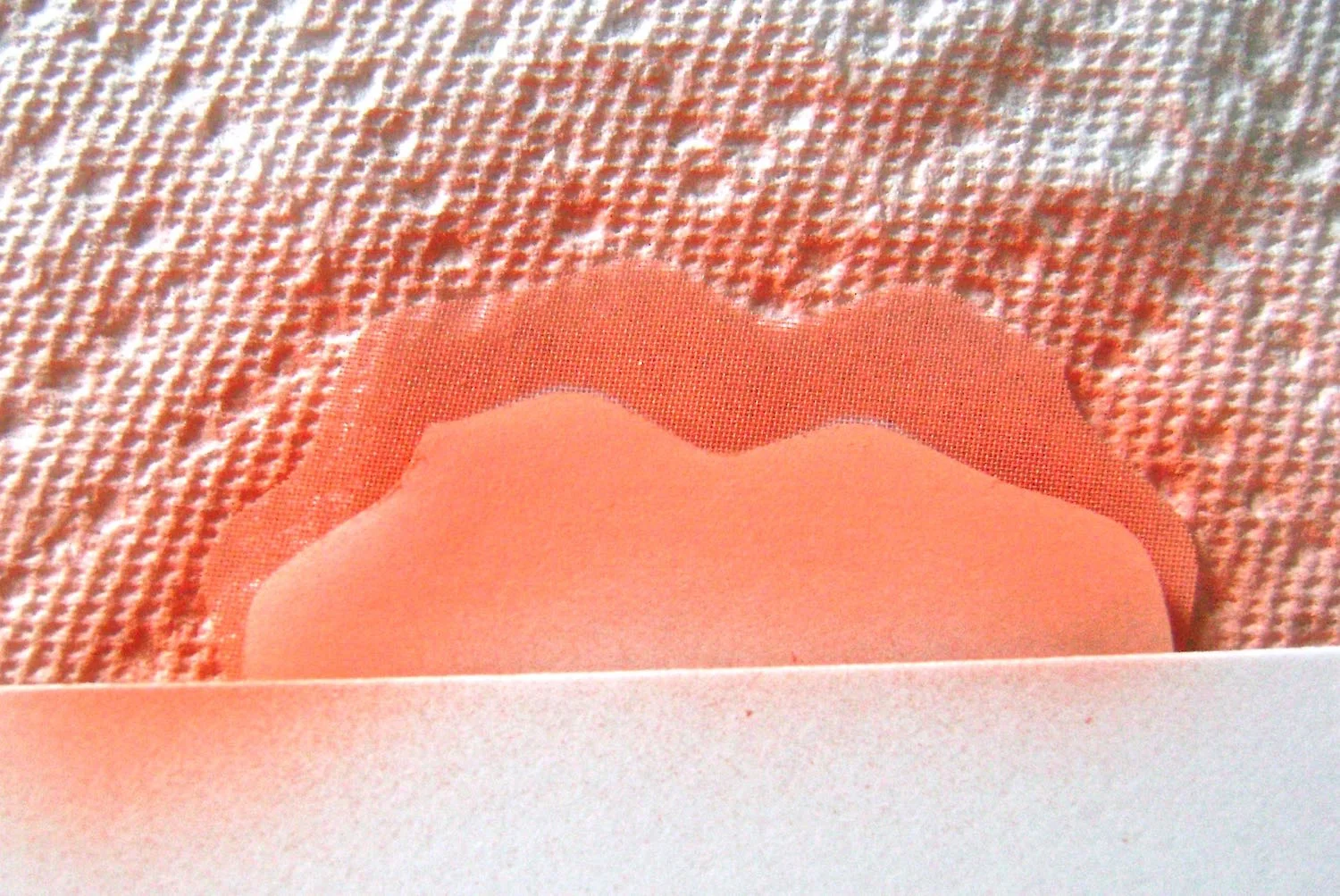 step 7 - When the paint is dry, use the petal outline pieces to paint a border on each petal edge by holding the wavy shape about 1/2” from the fabric edge. Spray with medium coat of orange. Without moving the wavy shape, dust with a light coat of white. This will tone down the brassiness of the orange but leave a soft border on the petals.