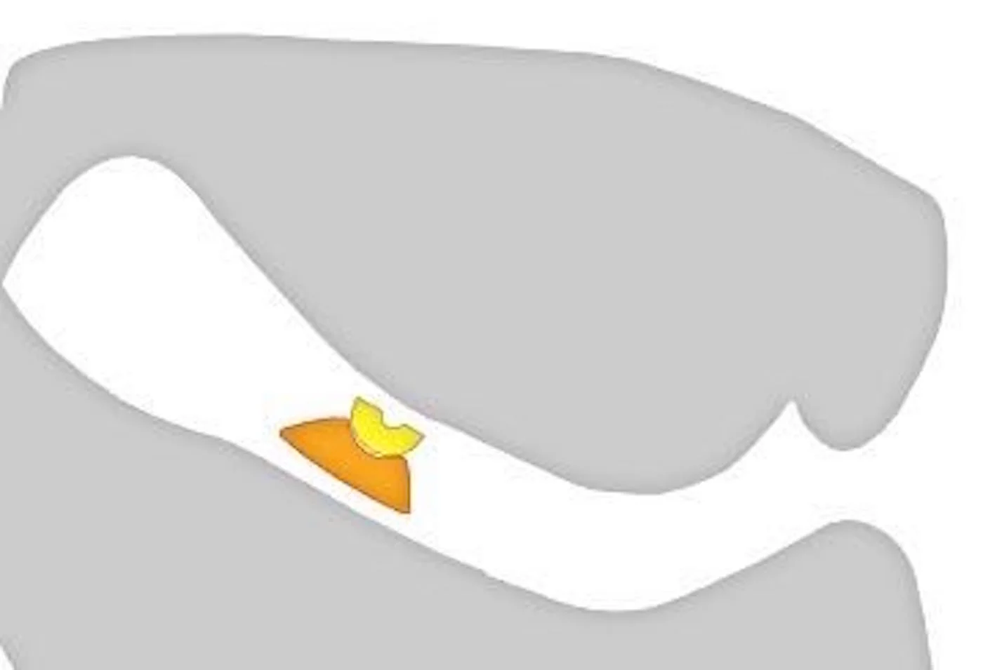 step 7 - Below the yellow, paint a larger orange area as shown.