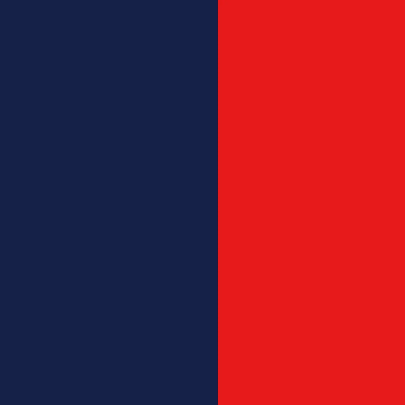 step 2 - Print the red and blue page on the reverse side of the flag.