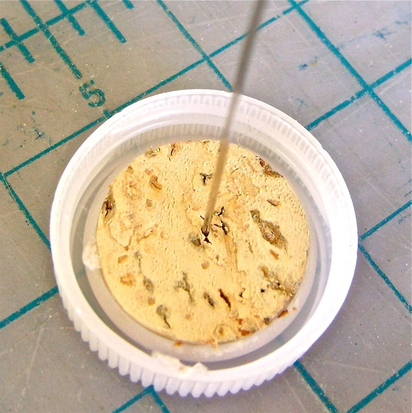 step 7 - Using hot glue, secure the cork into the bottle cap with the nail head against the cap.
