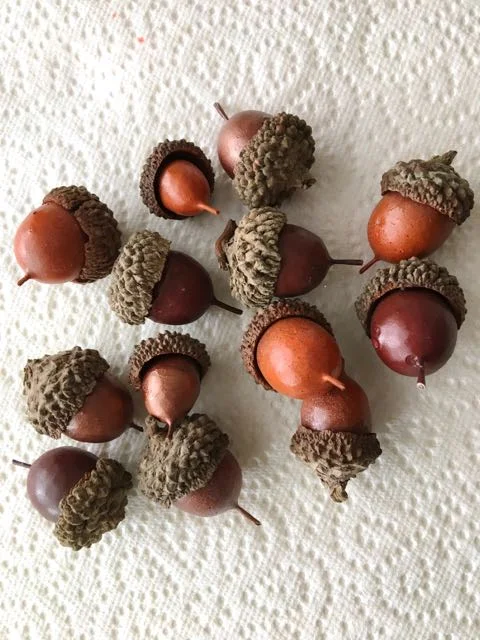 step 5 - Airbrush an equal number of acorns with the copper and the orange paint.