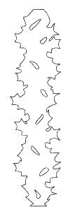 step 1 - CK - Download and print out the templates on card stock. Cut out the images with a knife to create stencils. Use the stencils to cut one long and 4 short pieces from green clay.