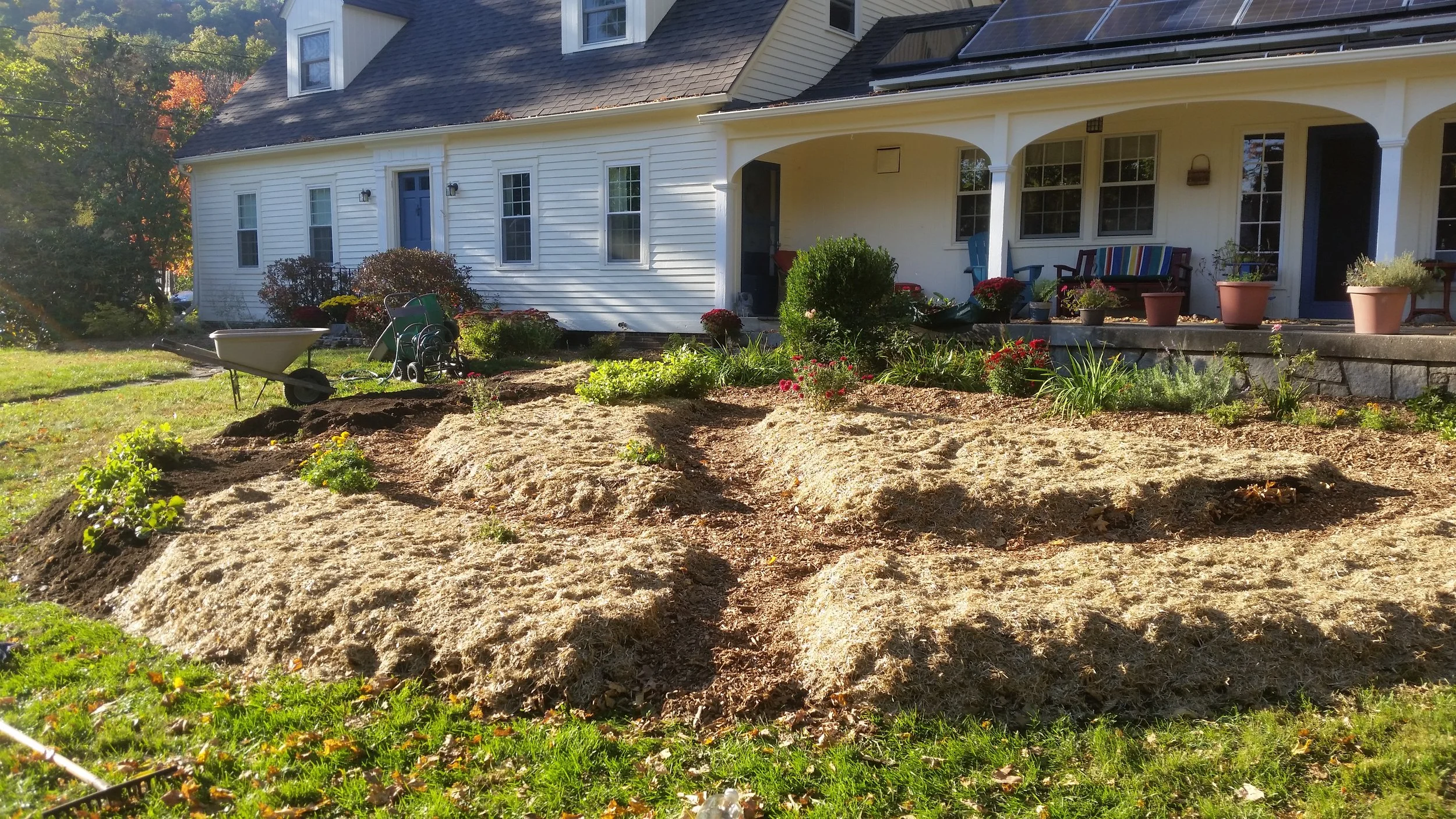 Annual Beds built on contour to catch the rain