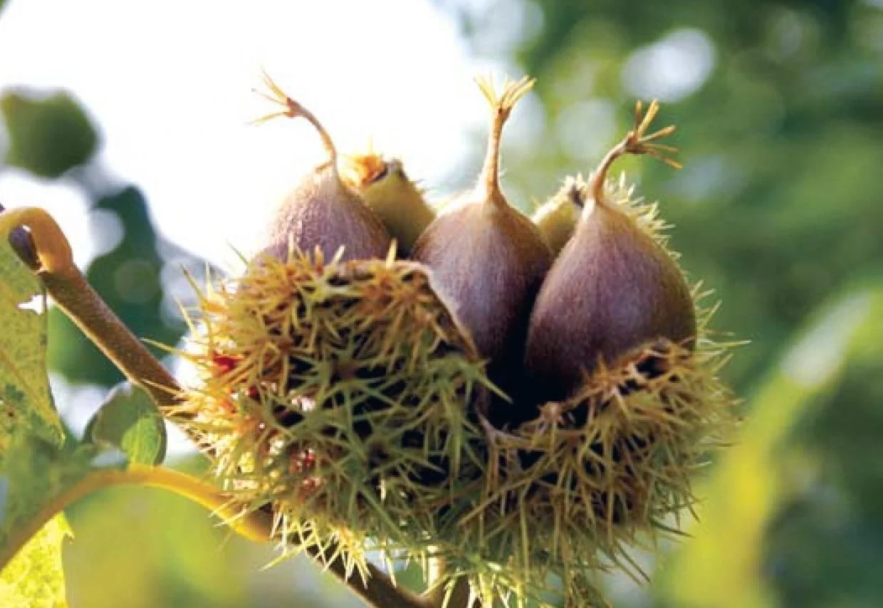 Installation — Broadfork Permaculture