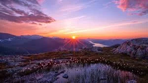 Solving Problems Through the Principle of Liberty