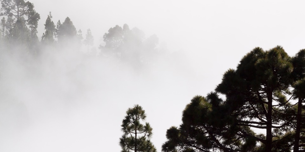 throughfog.png