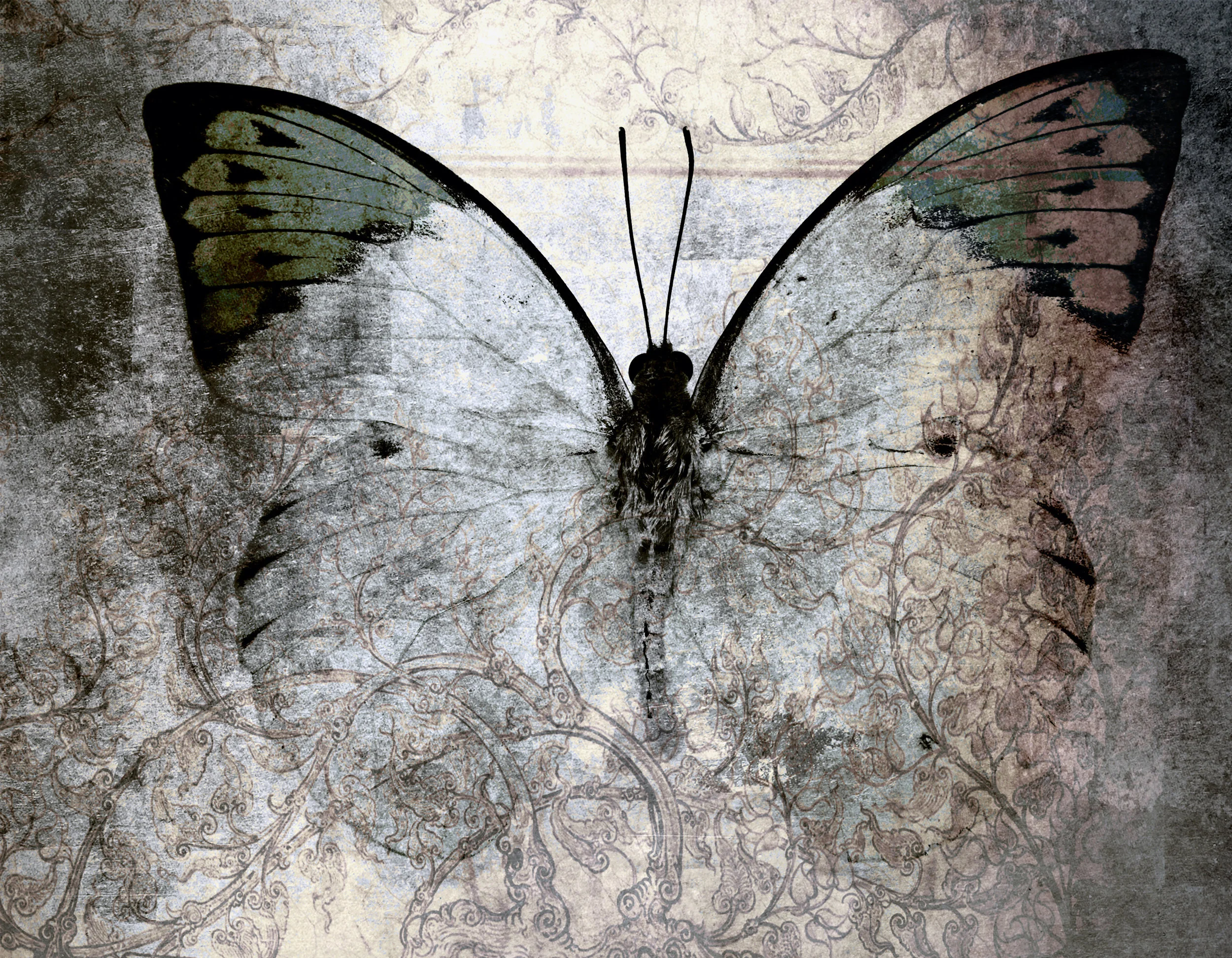 LEARN MORE about Psychotherapy and how it can support you to move towards healing, growth and transformation.
