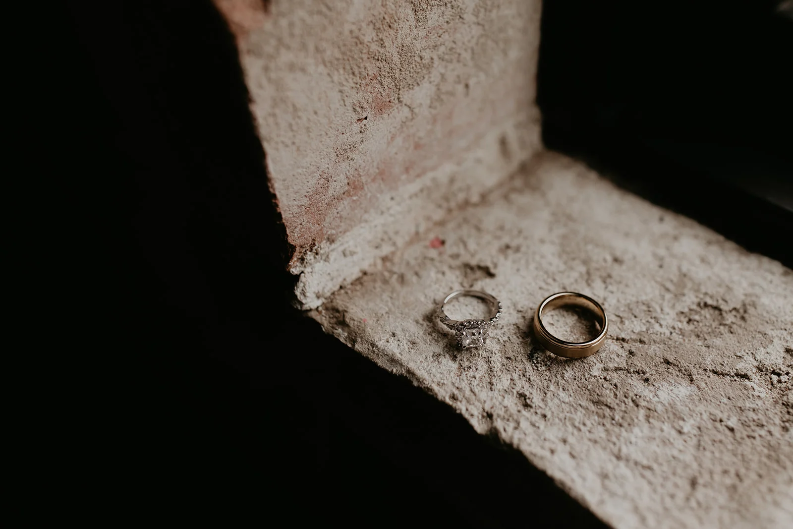 835A9133.jpg