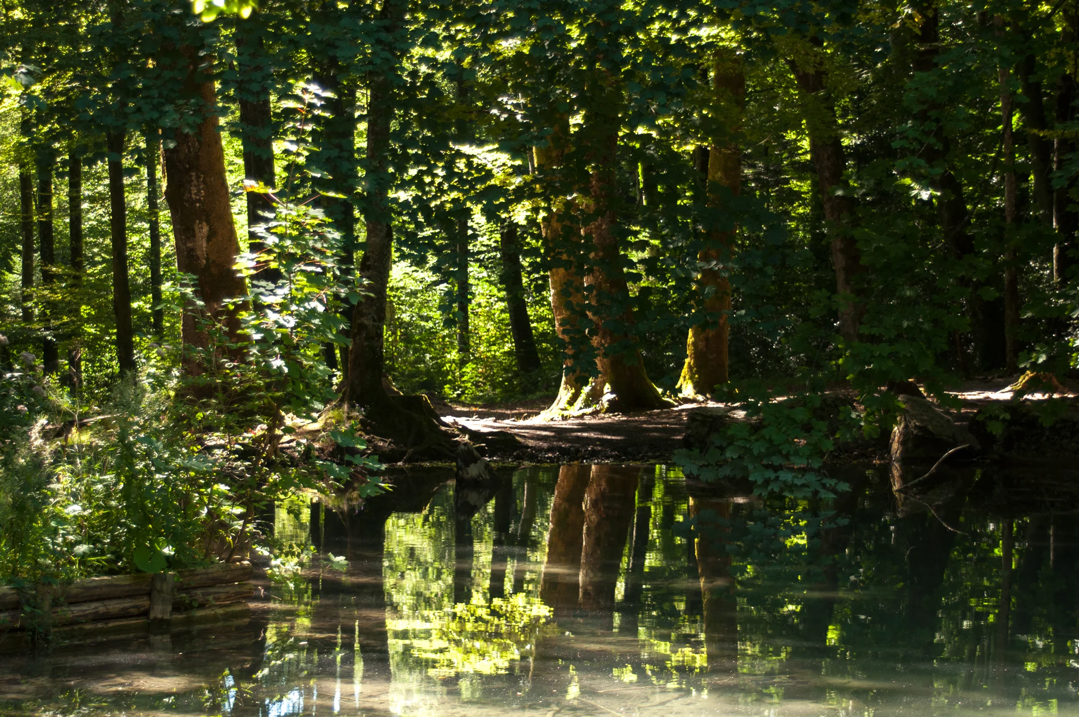 DSC_0028.jpg