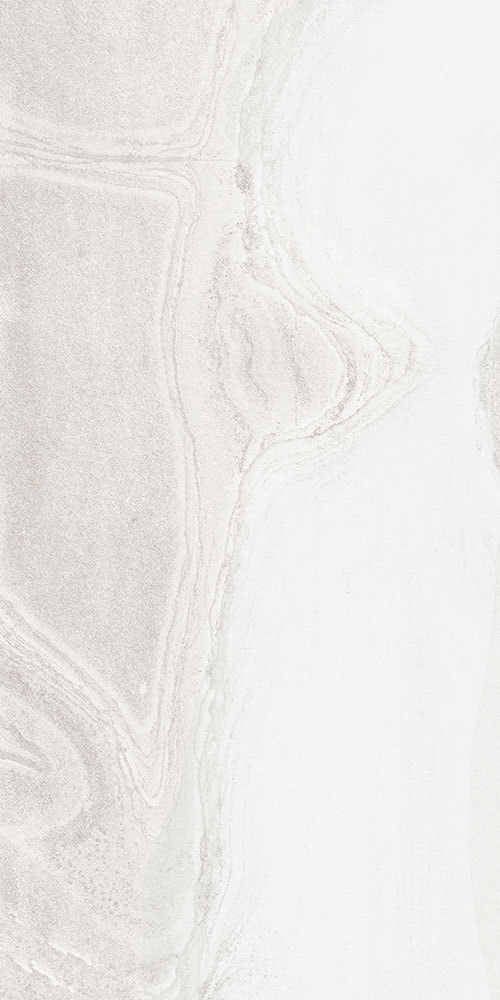 FOSSIL SILVER 12"x24"