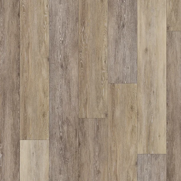 TWILIGHT OAK