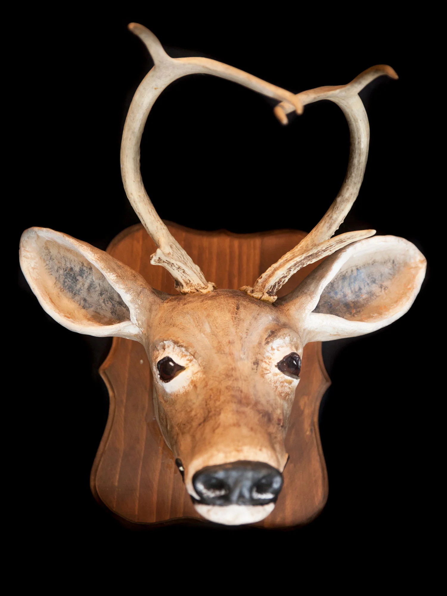 laura-asherman-deer2.jpg
