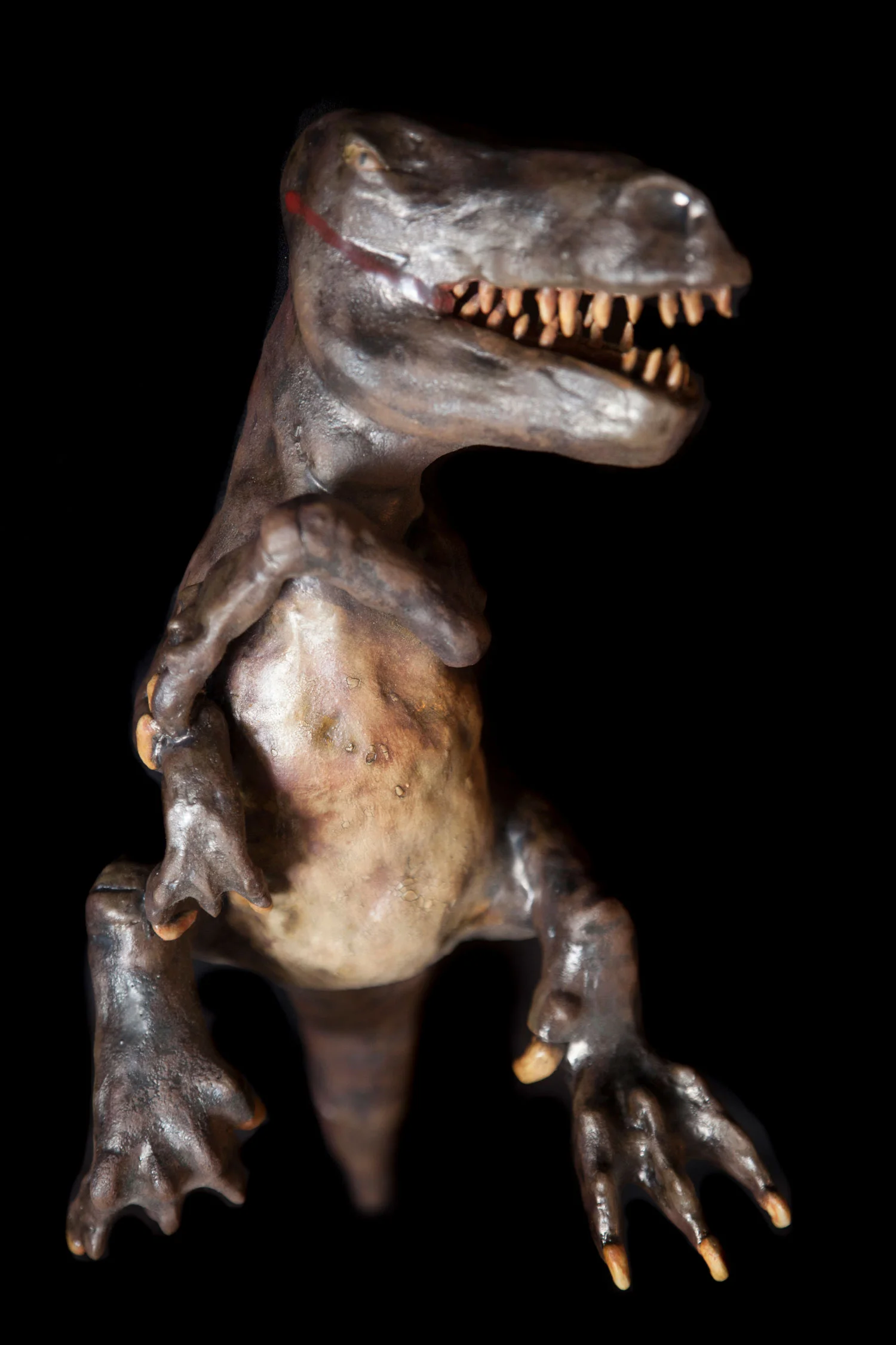 laura-asherman-raptor.jpg
