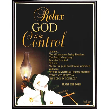 Relax God is in Control by D. Young