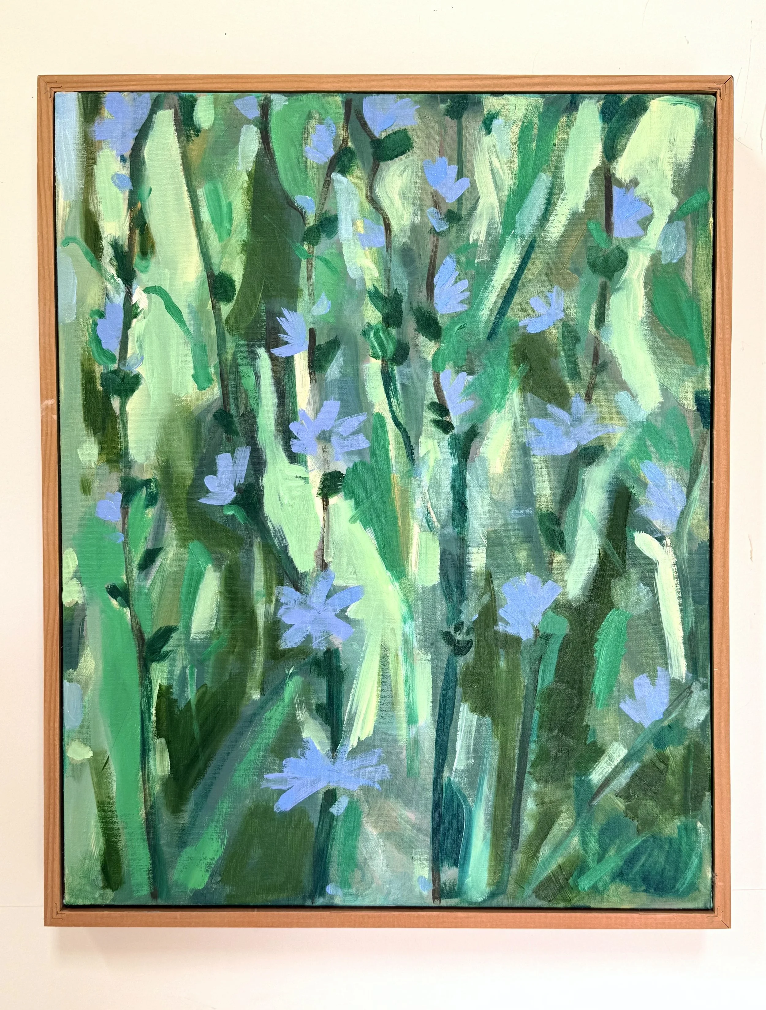 Marino_Chicory_16x20.jpeg