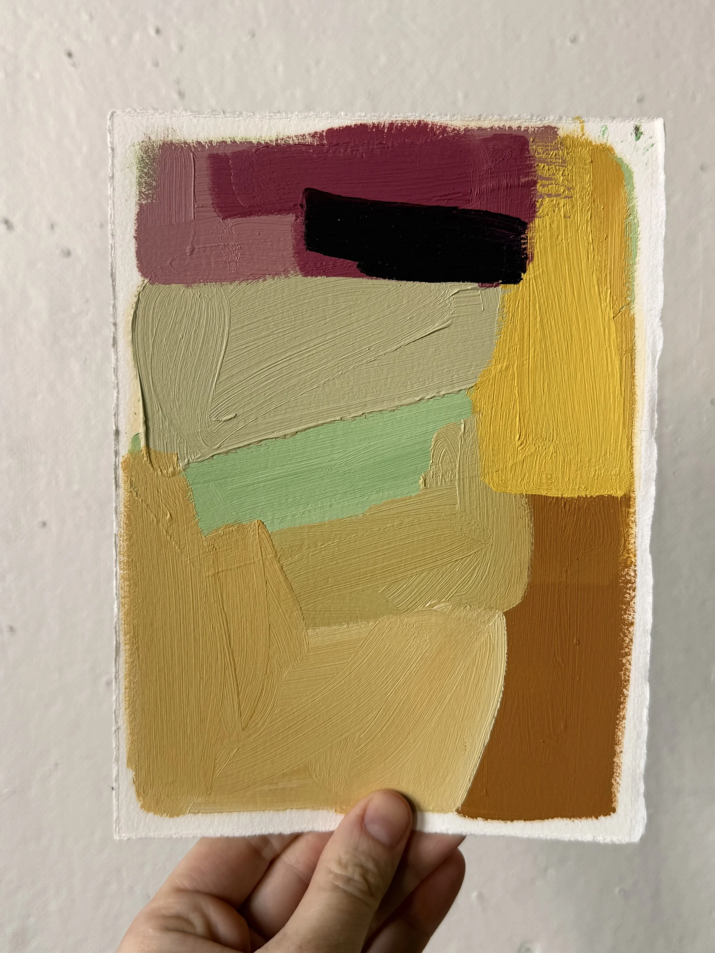 colorstudy_11.jpeg