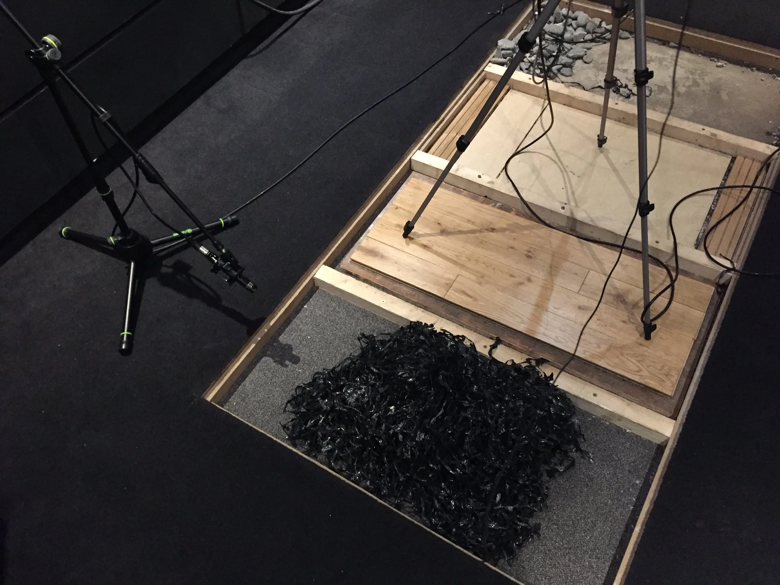 Footstep Recording 003
