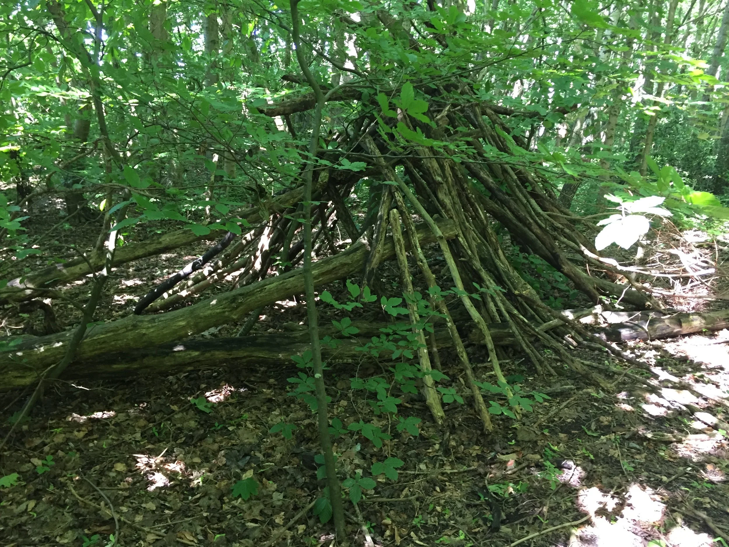 We found a few of these cool wooden shelters at various points in the woods. Reminded me of the temporary structures you can build in The Forest!