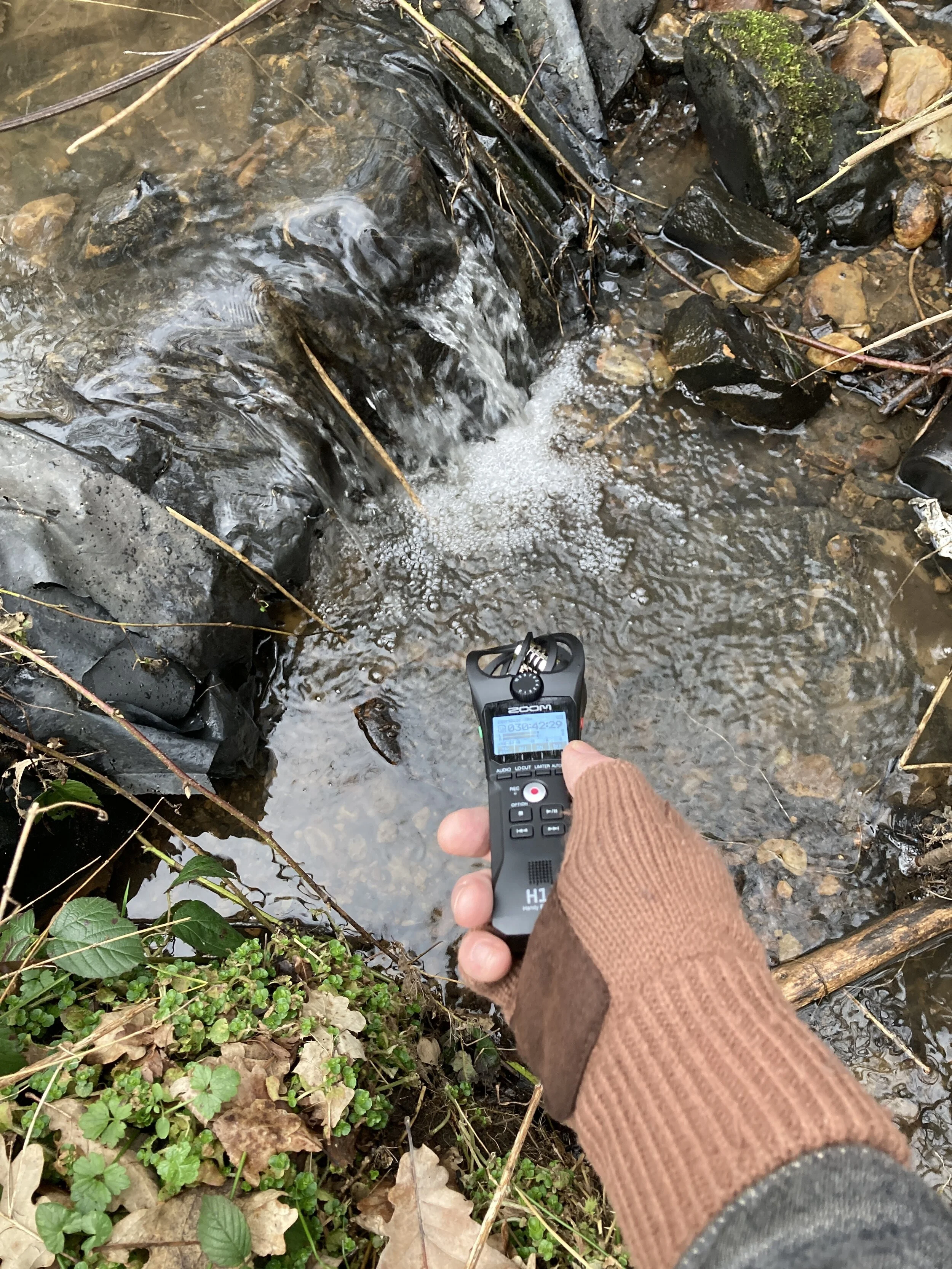 Location_003.JPG